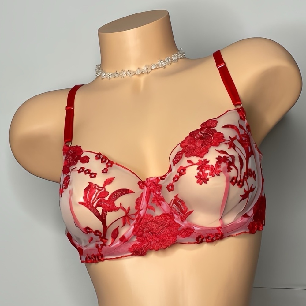 Ruby Red Bra - Picture 3 of 12